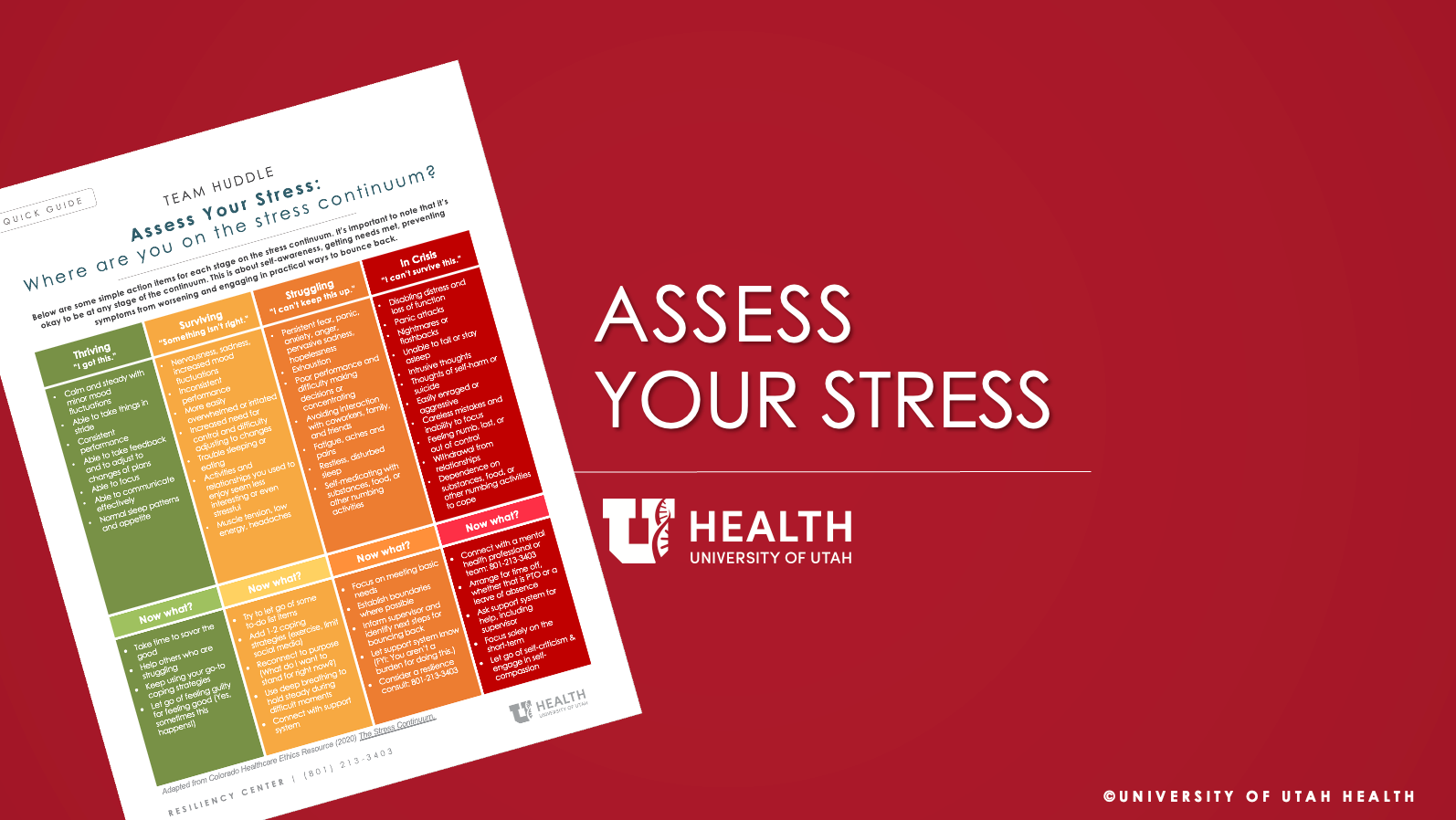 Assess Your Stress Graphic